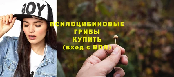 PSILOCYBIN Козловка
