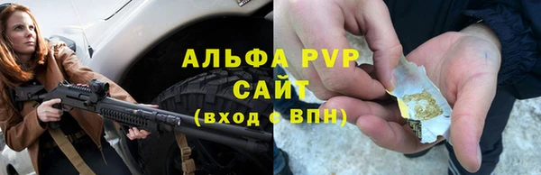 PSILOCYBIN Козловка