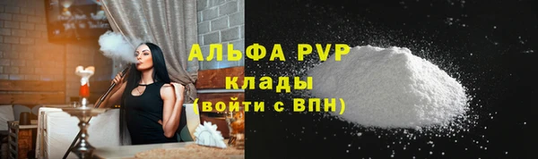 PSILOCYBIN Козловка