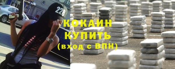 PSILOCYBIN Козловка