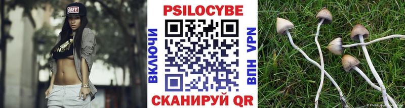 Псилоцибиновые грибы Psilocybine cubensis  Купить закладки  Бабаево 