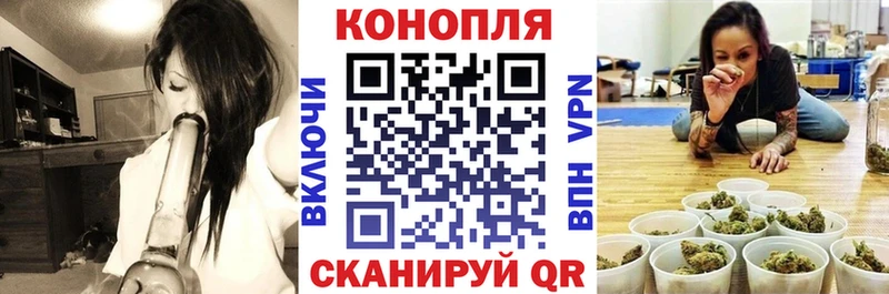 Купить где  Бабаево  МАРИХУАНА планчик 